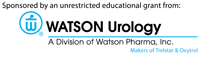 Watson Pharmaceuticals
